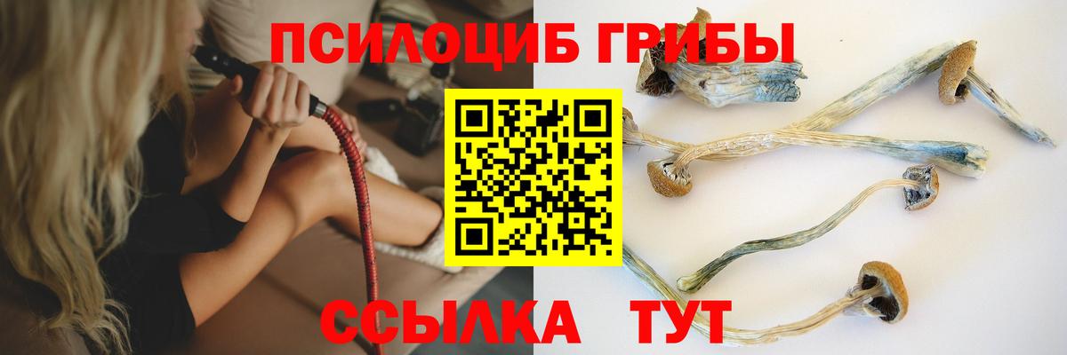 Галлюциногенные грибы мицелий  закладки  Галлюциногенные грибы GOLDEN TEACHER  Приморско-Ахтарск  Вход с VPN 